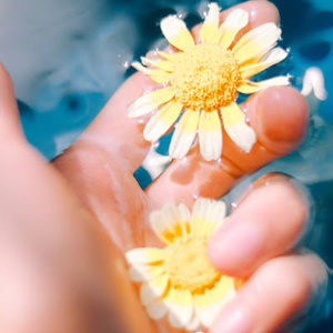 Meet your Posher, Lily